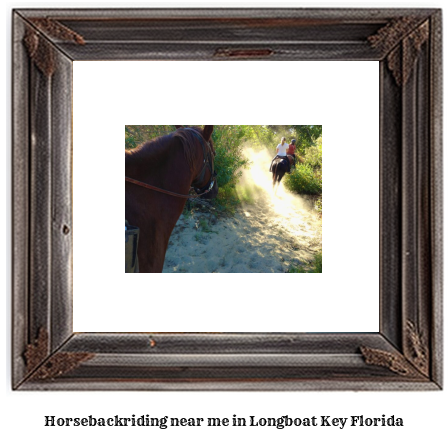 horseback riding near me in Longboat Key, Florida